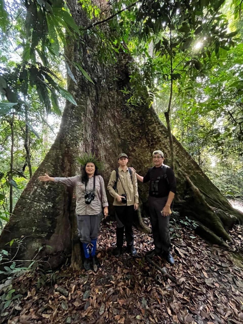 Pongo Guest House & Jungle Trekking Bukit Lawang Extérieur photo
