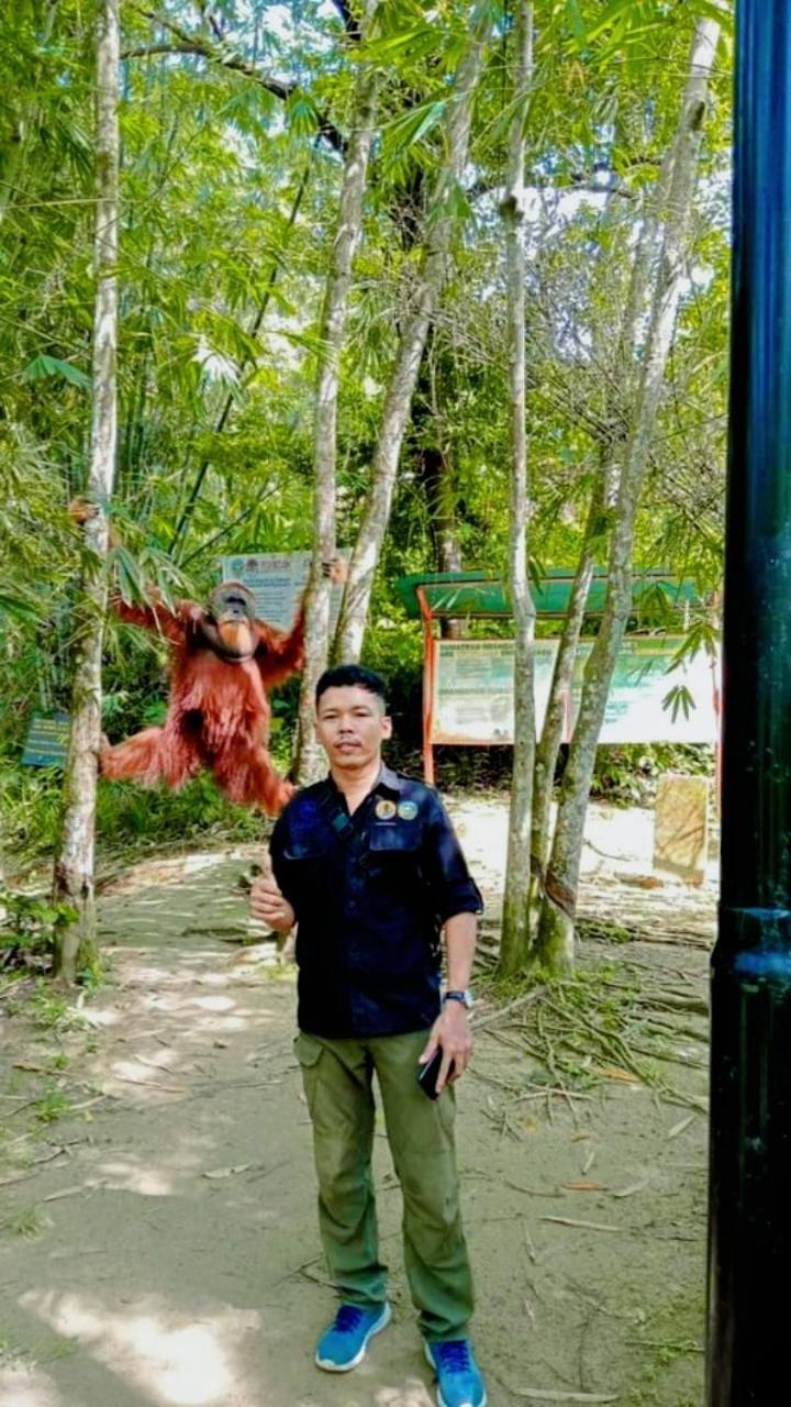 Pongo Guest House & Jungle Trekking Bukit Lawang Extérieur photo