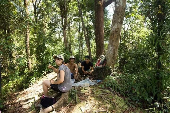Pongo Guest House & Jungle Trekking Bukit Lawang Extérieur photo