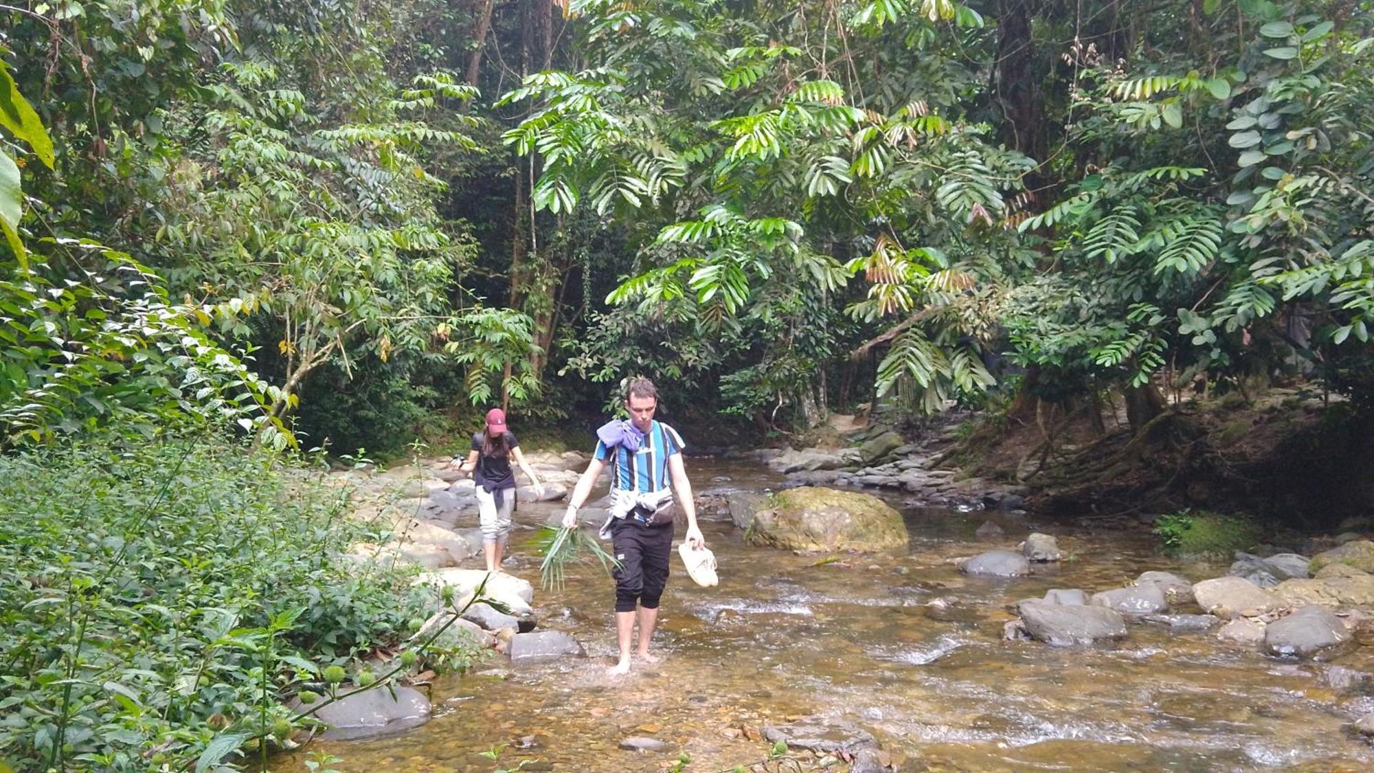 Pongo Guest House & Jungle Trekking Bukit Lawang Extérieur photo